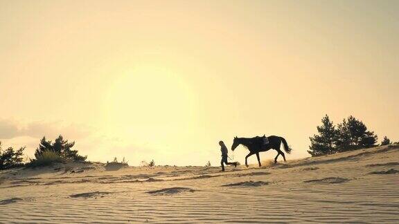 骑马女骑手的剪影骑着马奔跑沿着地平线高耸的沙丘在夕阳西下时天空的背景和阳光的光线背光