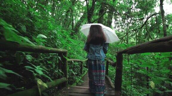 带着伞的女孩在雨林里散步