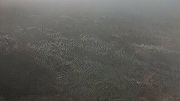 中国鸳鸯的梯田