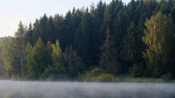 清晨森林中的湖面上有雾