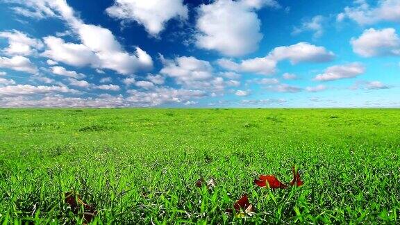 绿色的田野和多云的天空