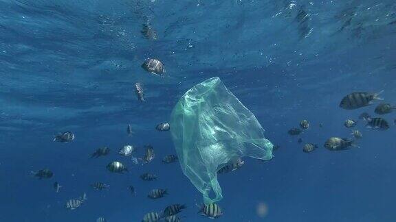 慢镜头阳光下蓝色的水面下黄色的塑料袋和一群热带鱼慢慢地游动水下塑料污染海洋