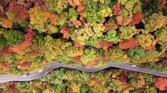 空中拍摄的路在山上的秋天时间在日本