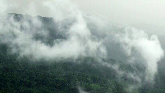 雾谷和多层热带山脉与风力涡轮机顶部在富欣荣克拉国家公园泰国