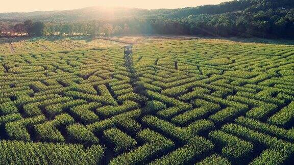 无人机拍摄的宾夕法尼亚州波科诺斯地区巨大的万圣节玉米迷宫的空中全景视频