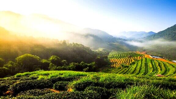 美丽的阳光在朦胧的早晨泰国北部山区