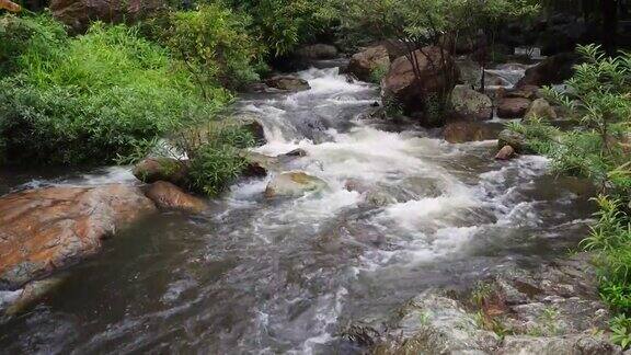 雨林里流动的溪水