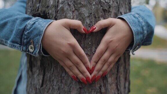 女性的手在树干上画了一个心形伟大的生态理念