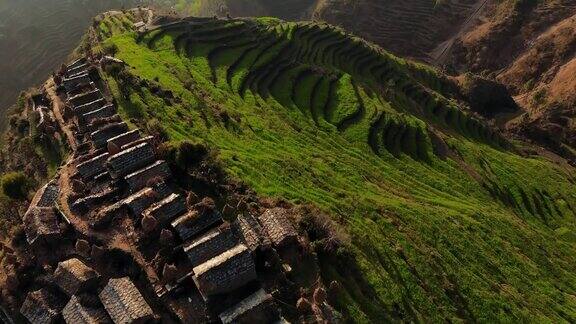 航拍无人机拍摄的一个喜马拉雅村庄和绿色小麦梯田在包里加尔瓦尔北阿坎德邦