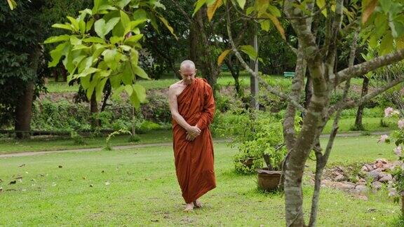 僧侣在泰国森林修道院散步冥想