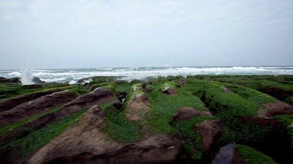 新北市4K老美绿礁盛开的毯子花海岸