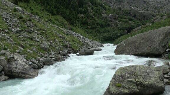 在瑞士的国家公园欧洲的山脉中观赏河景
