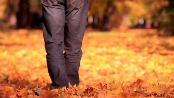 人们走在秋天的公园里黄色的树脚离开了摄像机