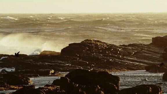 海浪冲入岩石海岸和鸟群
