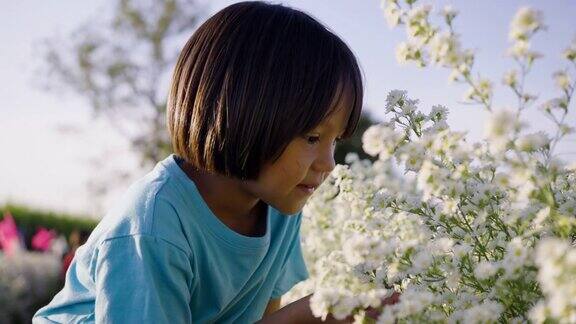小女孩欣赏着田野里盛开的鲜花