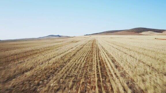 无人机在非洲稻田上空盘旋