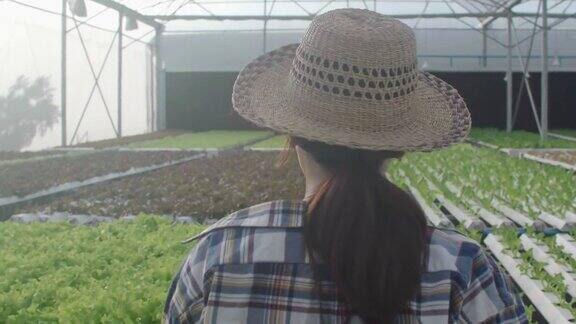 泰国女农民步行检查有机蔬菜水培农场温室蔬菜