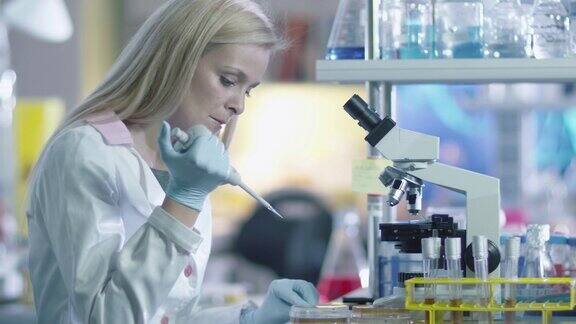 金发碧眼的女科学家正在准备一个显微镜样本以便在实验室中进行测试