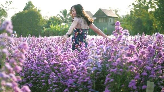 紫花农场里的女人快乐而有趣