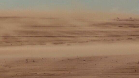 沙漠景观撒哈拉风吹沙干旱、干燥的沙漠景观在沙丘里吹沙子