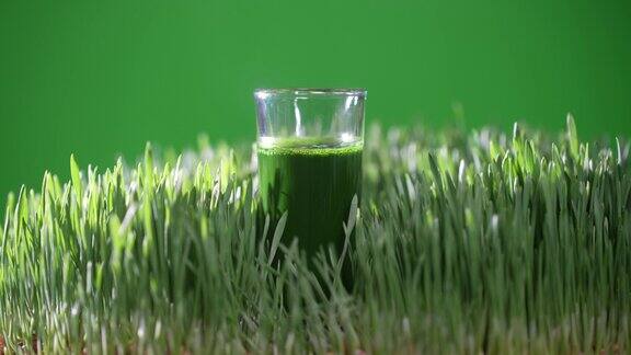 健康的绿色排毒汁来自绿色发芽的麦粒草旋转