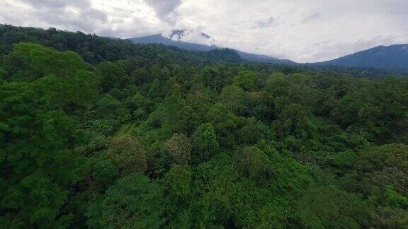鸟瞰丛林森林茂密的树木绿色的植被山多云的天空景观
