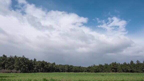 雨前阴天的草地