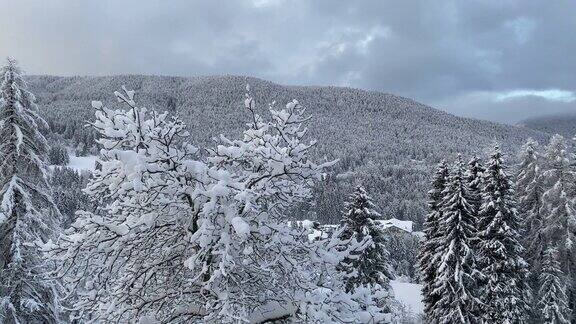 特伦蒂诺多云的雪景