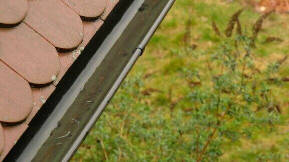 雨水沟的特写与花园的背景