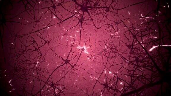 在人的眼睛内飞行虹膜和大脑神经元-3D渲染动画