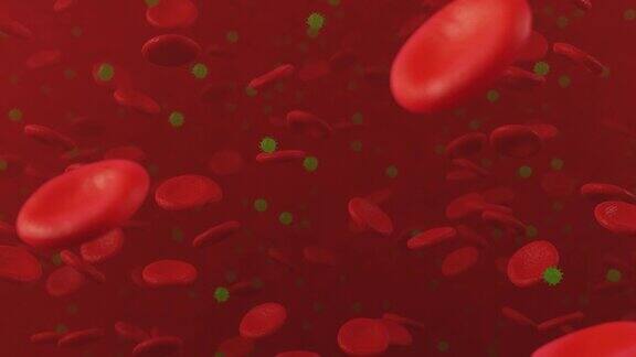红细胞和COVID-19细胞进入血液