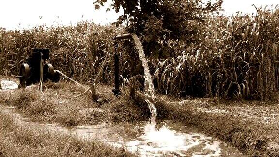 在印度农村使用管井灌溉