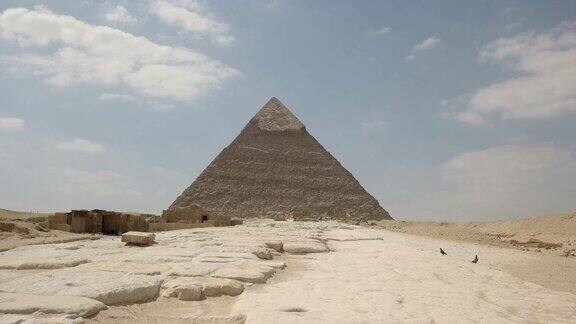 埃及开罗附近吉萨的金字塔和鸽子