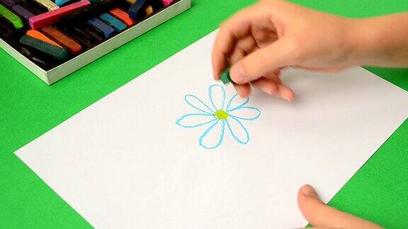 孩子们在纸上画画画一朵花