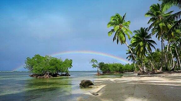 加勒比海上的五彩彩虹和绿色棕榈树旅游的背景