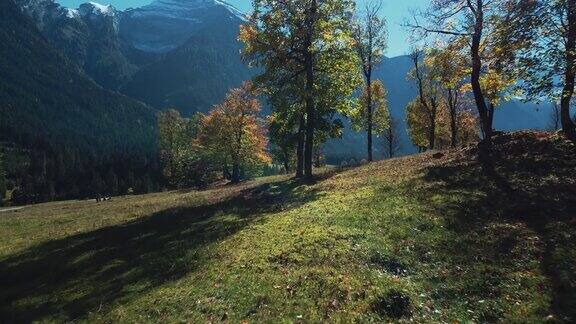 Ahornboden山谷充满活力多彩的秋天枫树和风景优美的山峰与美丽的蓝天在巴伐利亚奥地利阿尔卑斯山RissachTyrolAustriaEngtalGro?erAhornboden无人机4K超高清