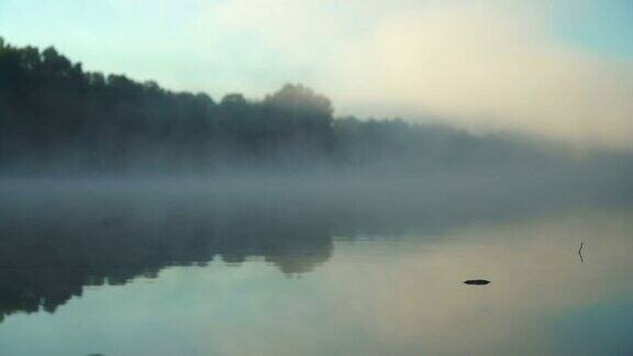 清晨上河上湖日出前美丽的雾安静和平静自然环境、季节、生态、背景