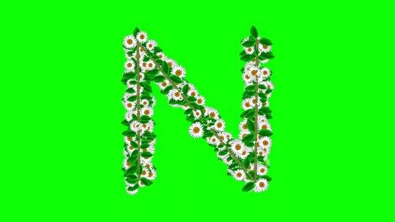 英文字母N绿色屏幕背景上有雏菊花