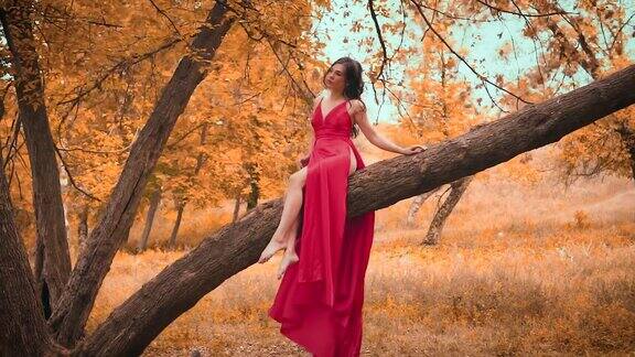 有魅力的女人穿着一件红色的长裙光着双腿坐在树上