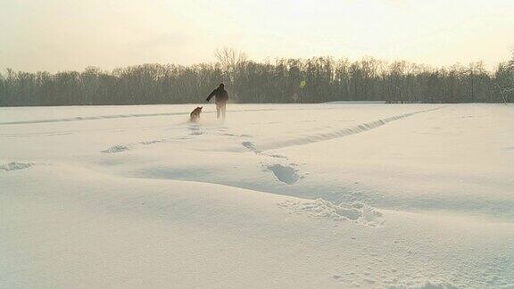 高清慢动作:人和狗在深雪中奔跑