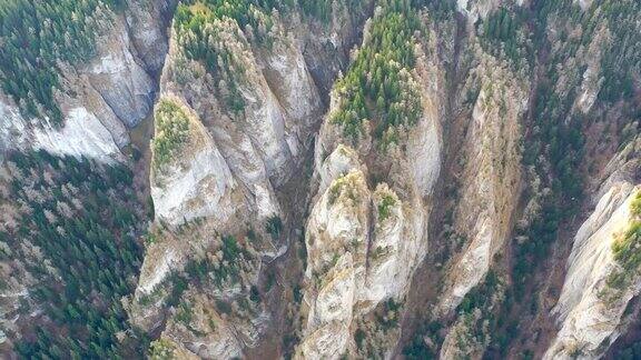 山峡谷中的夏季森林巨大的岩石从上面