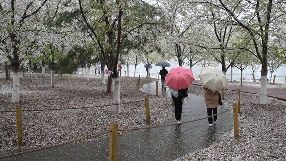 北京的春天迎来了一场雨夹雪游客们在公园里散步