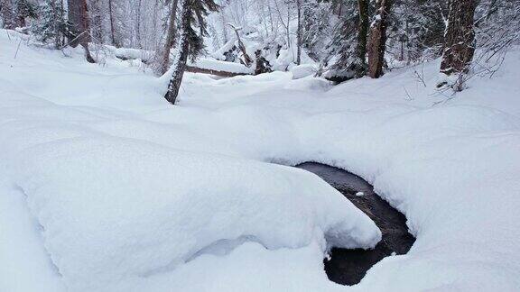 Teletskoe湖岸边的Tevenek(第三河)河边的冬季针叶林被大雪覆盖