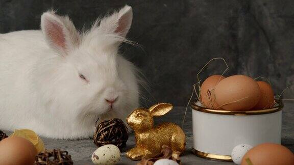 复活节兔子用五彩缤纷的复活节兔子蛋漂亮的复活节兔子用兔子作为复活节节日复活节兔子可爱的复活节兔子和五颜六色的复活节彩蛋白色复活节兔子兔子