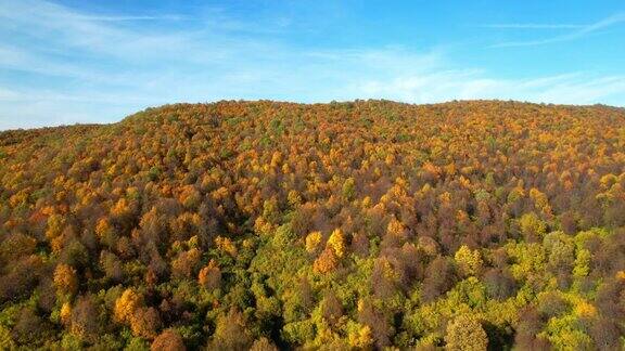 五彩缤纷的秋林和蓝天