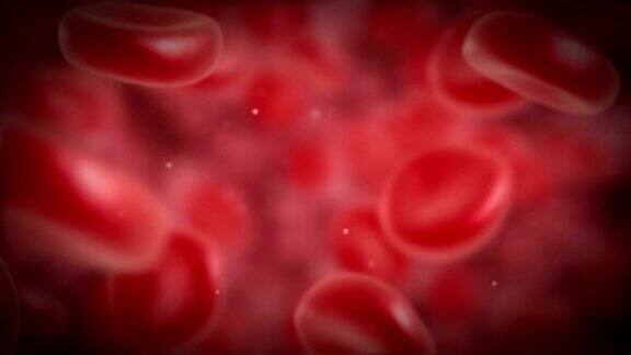 在静脉或动脉中流动的红细胞