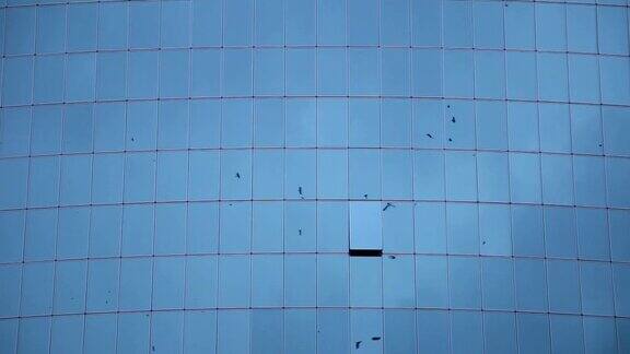 现代商务办公建筑的墙面用飞鸟反射在玻璃上