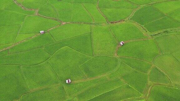 亚洲绿色农业区鸟瞰图