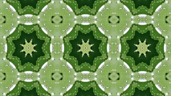 经典绿色曼陀罗万花筒图案背景