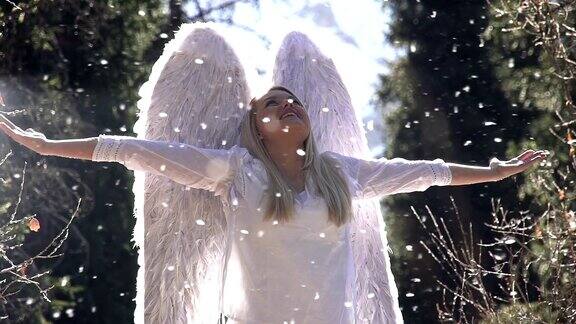 白色天使出生
